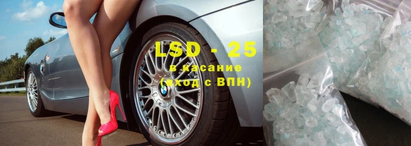 прущие грибы Алзамай