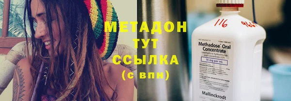 прущие грибы Алзамай