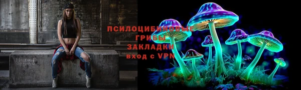 прущие грибы Алзамай