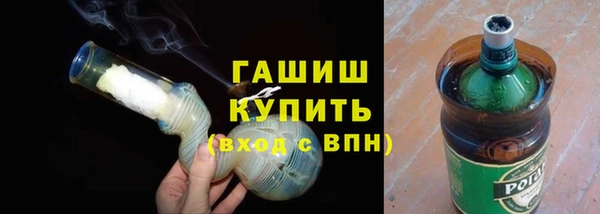 прущие грибы Алзамай