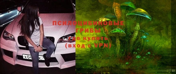 прущие грибы Алзамай