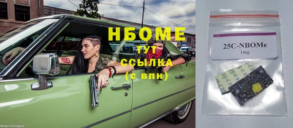 прущие грибы Алзамай