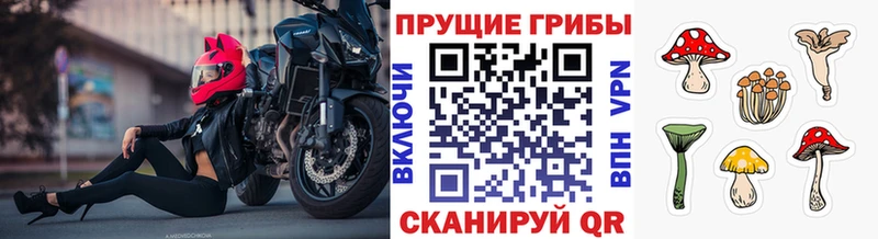 Псилоцибиновые грибы ЛСД Жигулёвск
